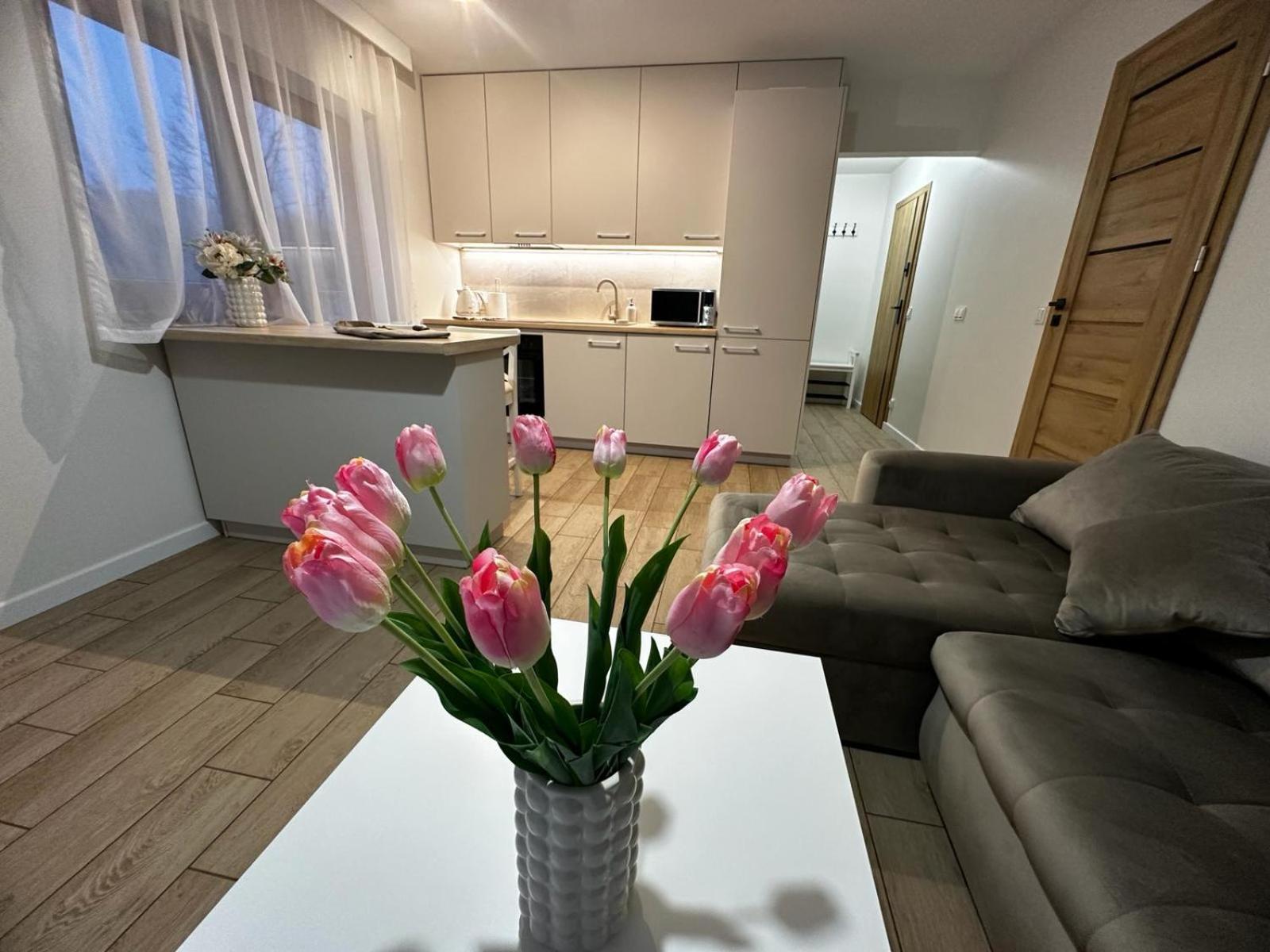 Biala Gran Apartament Zakopane